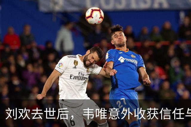 刘欢去世后，韦唯意外收获信任与支持